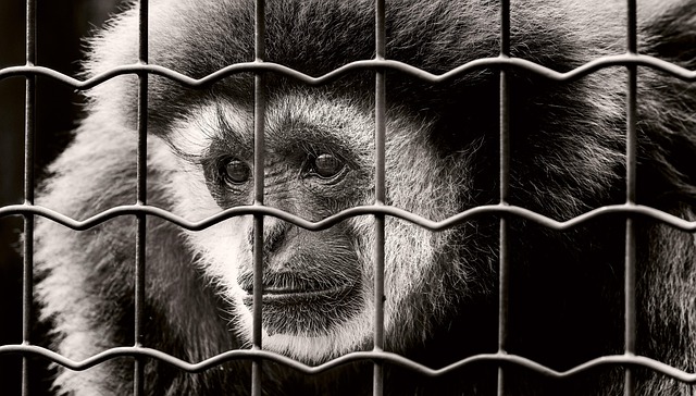 Jail