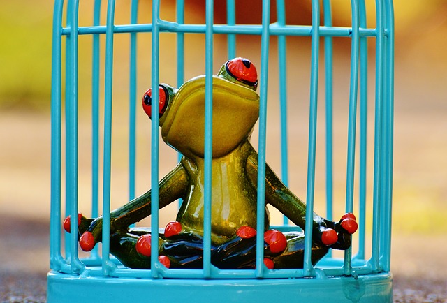 Jail