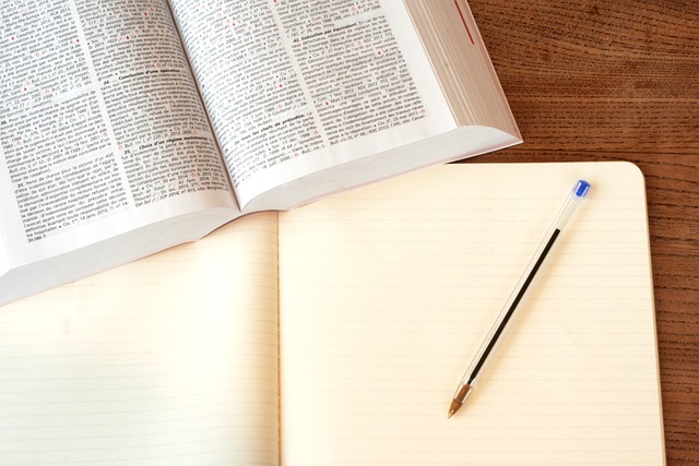 DUI & Immigration: Understanding Consequences & Alternative Sentencing Options