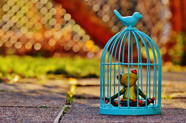 Jail