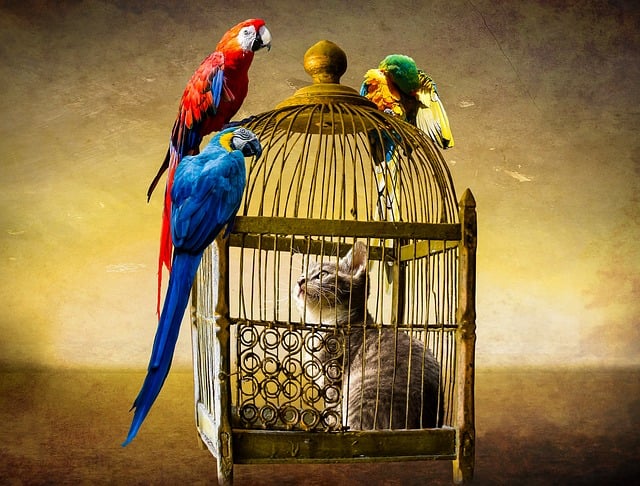 Jail