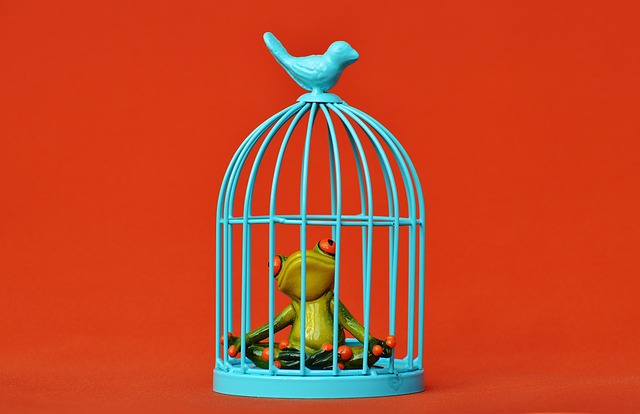 Jail