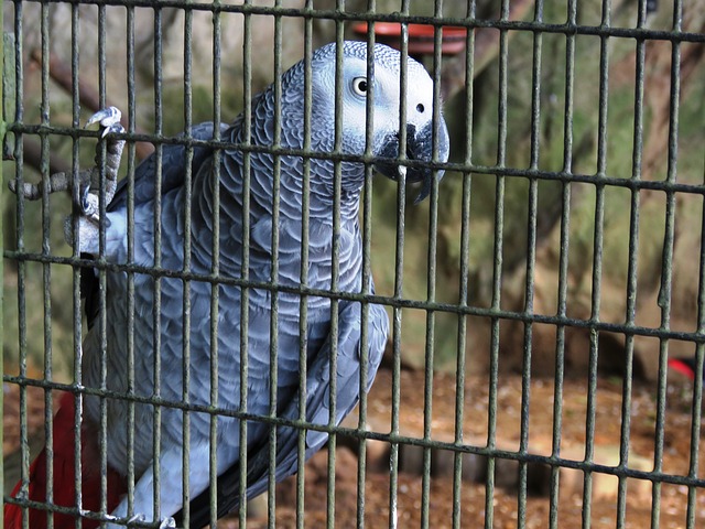 Jail