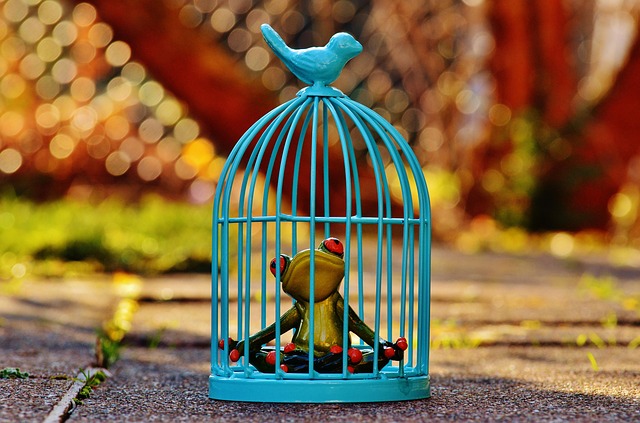 jail-640x480-81287457.jpeg