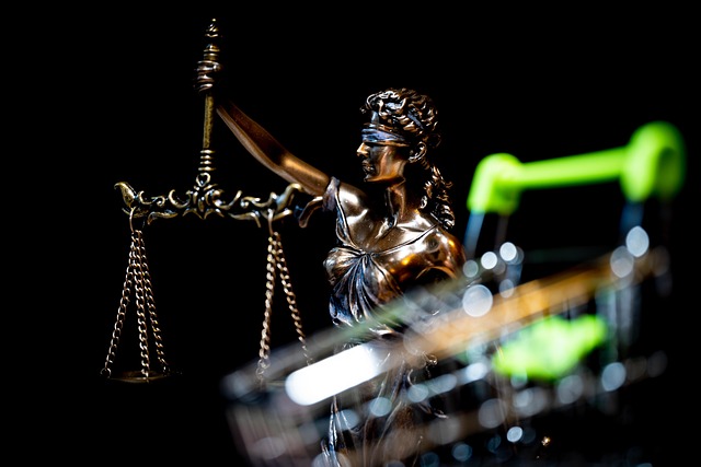 Lawyer