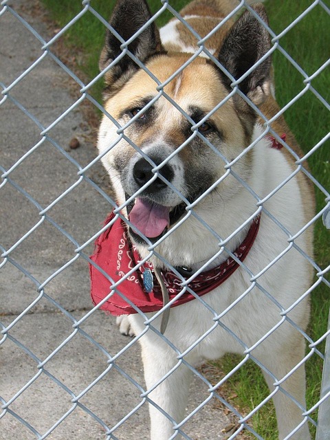 jail-640x480-51109783.jpeg