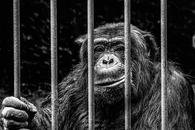 jail-640x480-72840300.jpeg